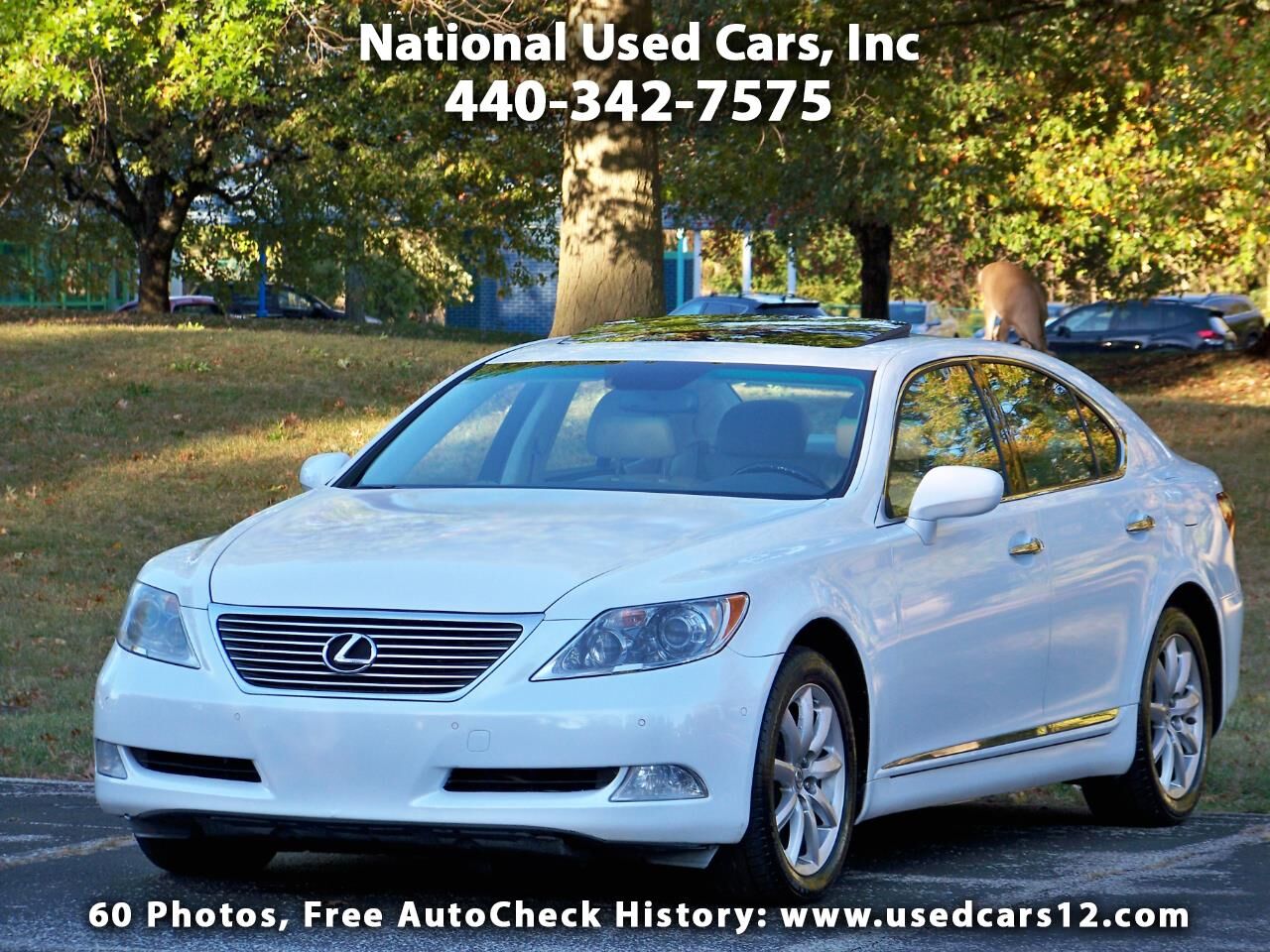 Lexus LS