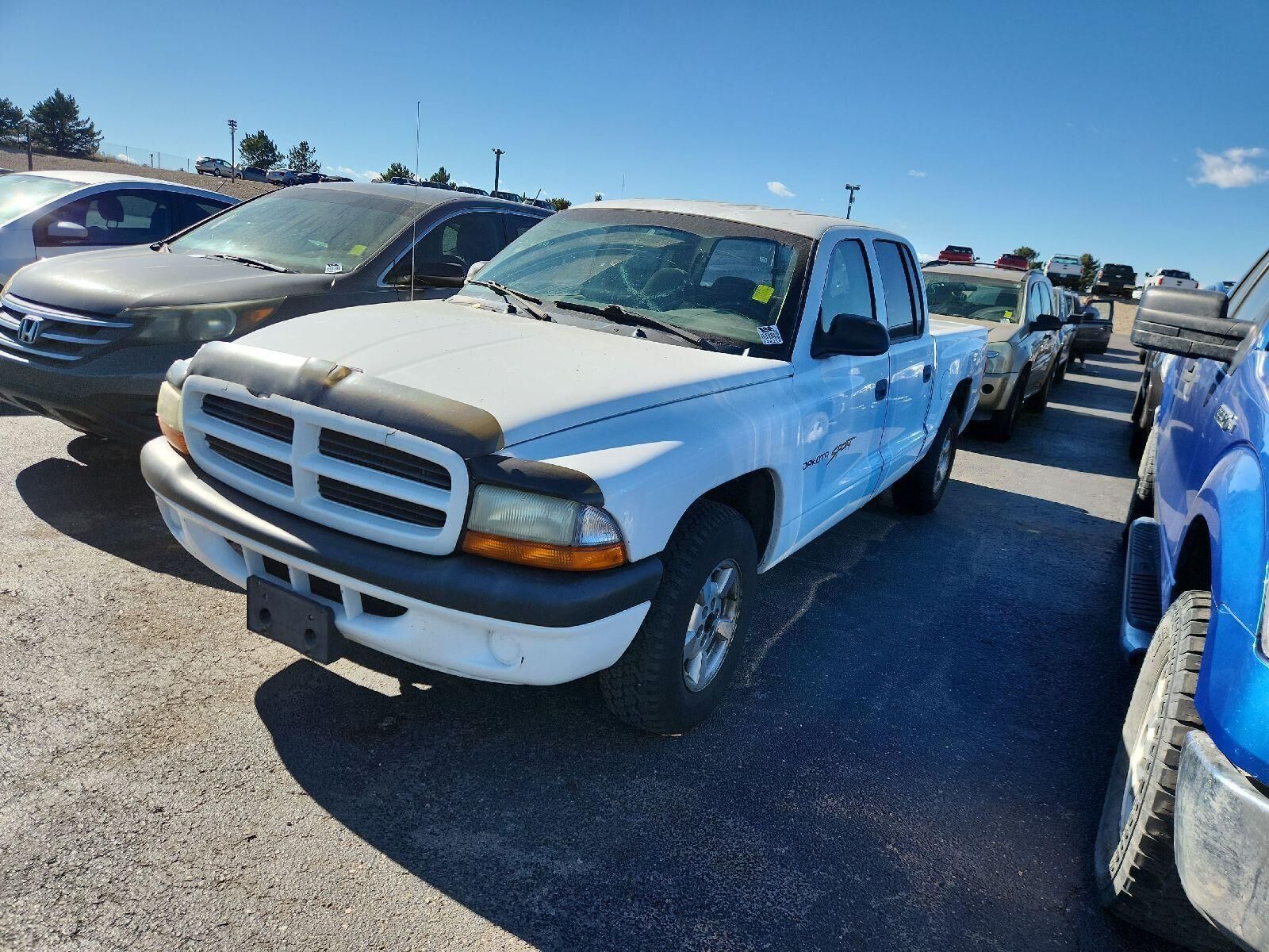 Dodge Dakota