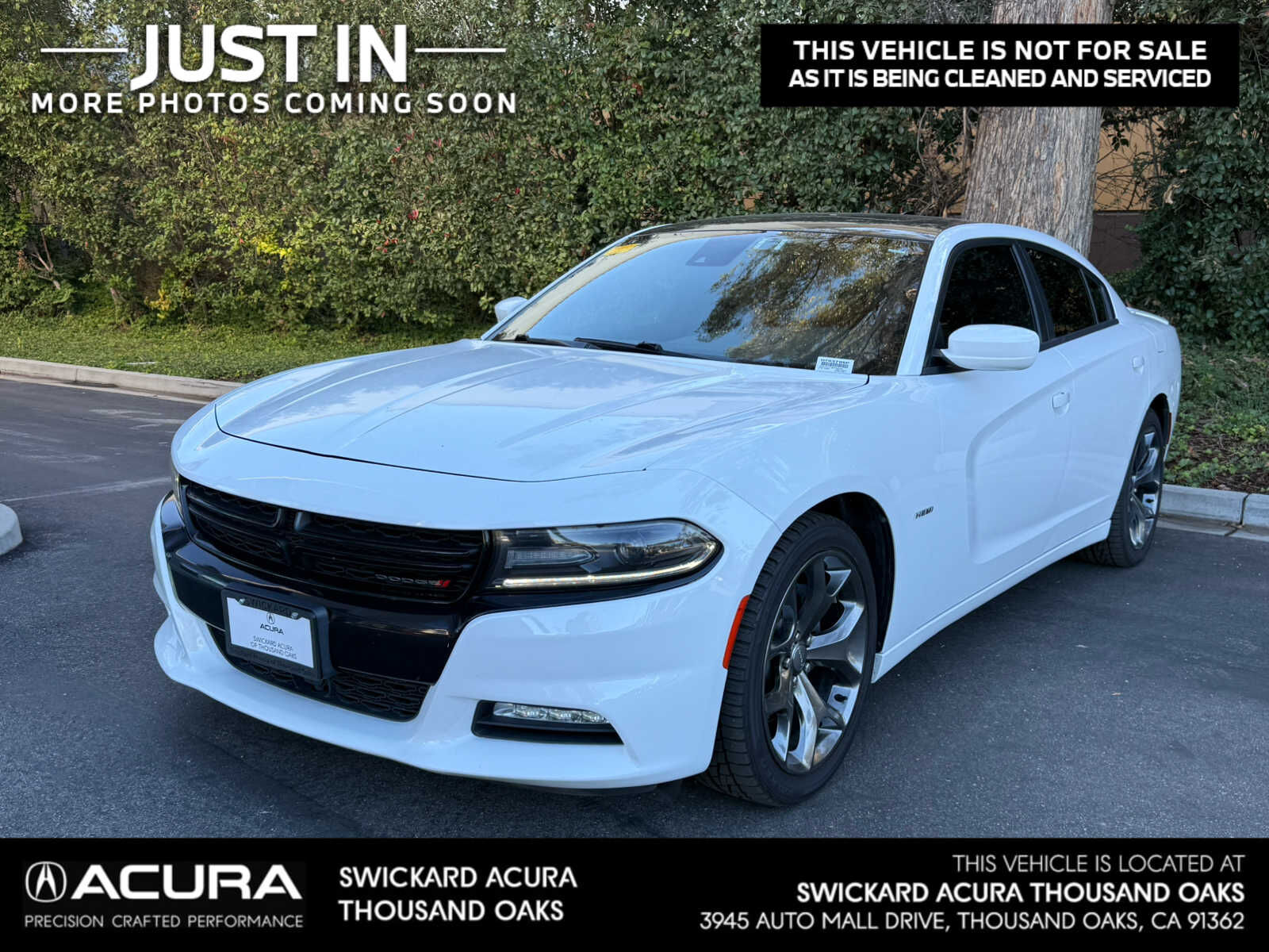 Dodge Charger