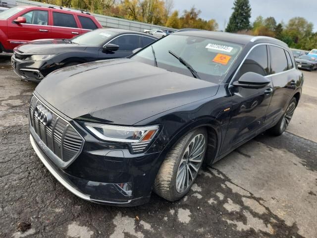 2019 AUDI e-tron