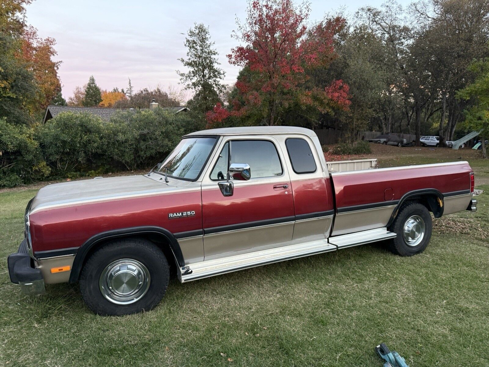 Dodge D-Series