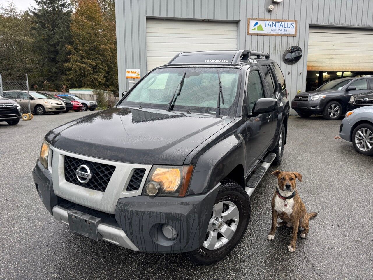 Nissan Xterra
