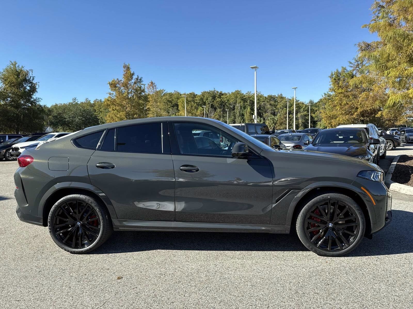 2026 BMW X6