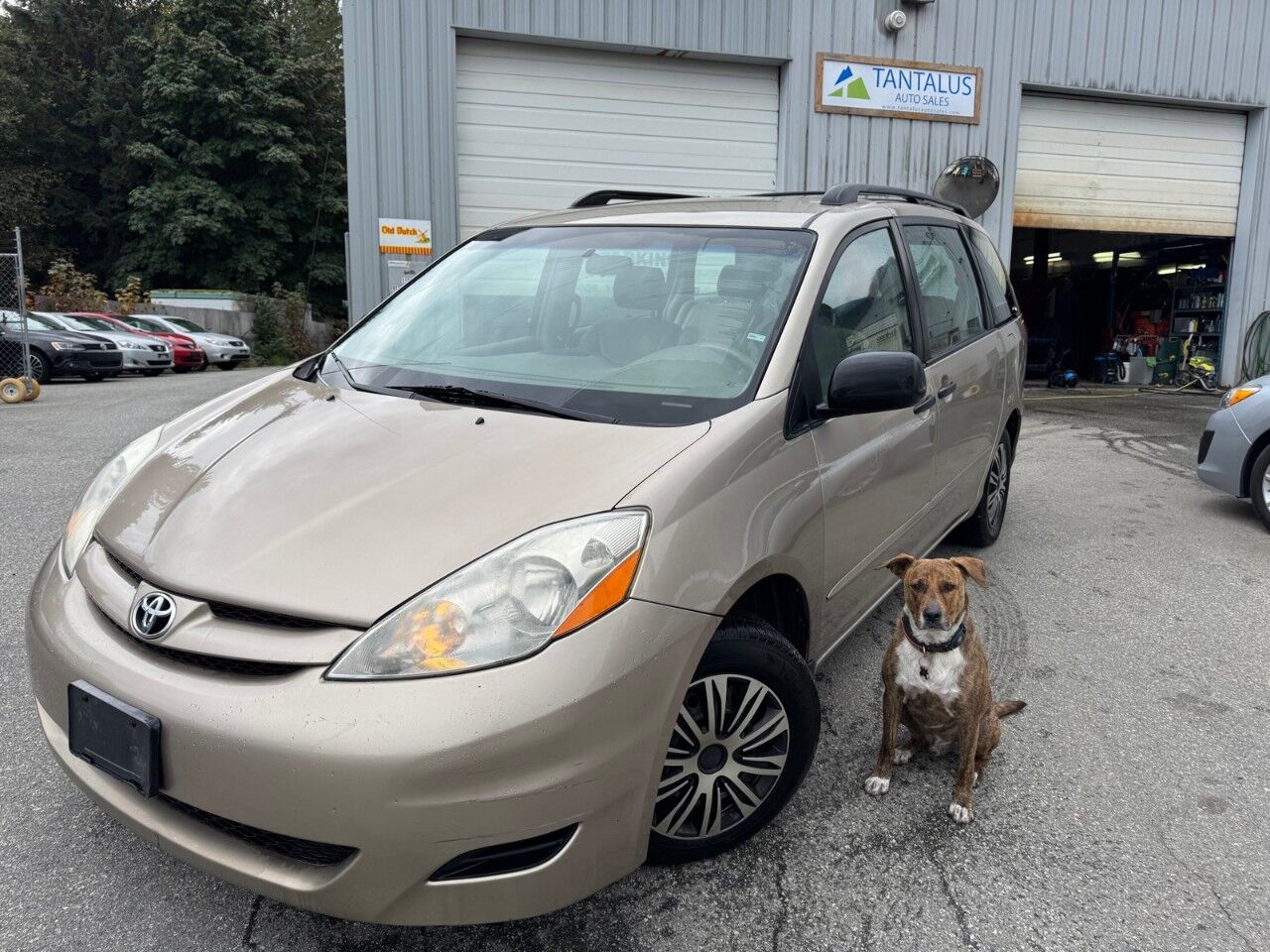 Toyota Sienna