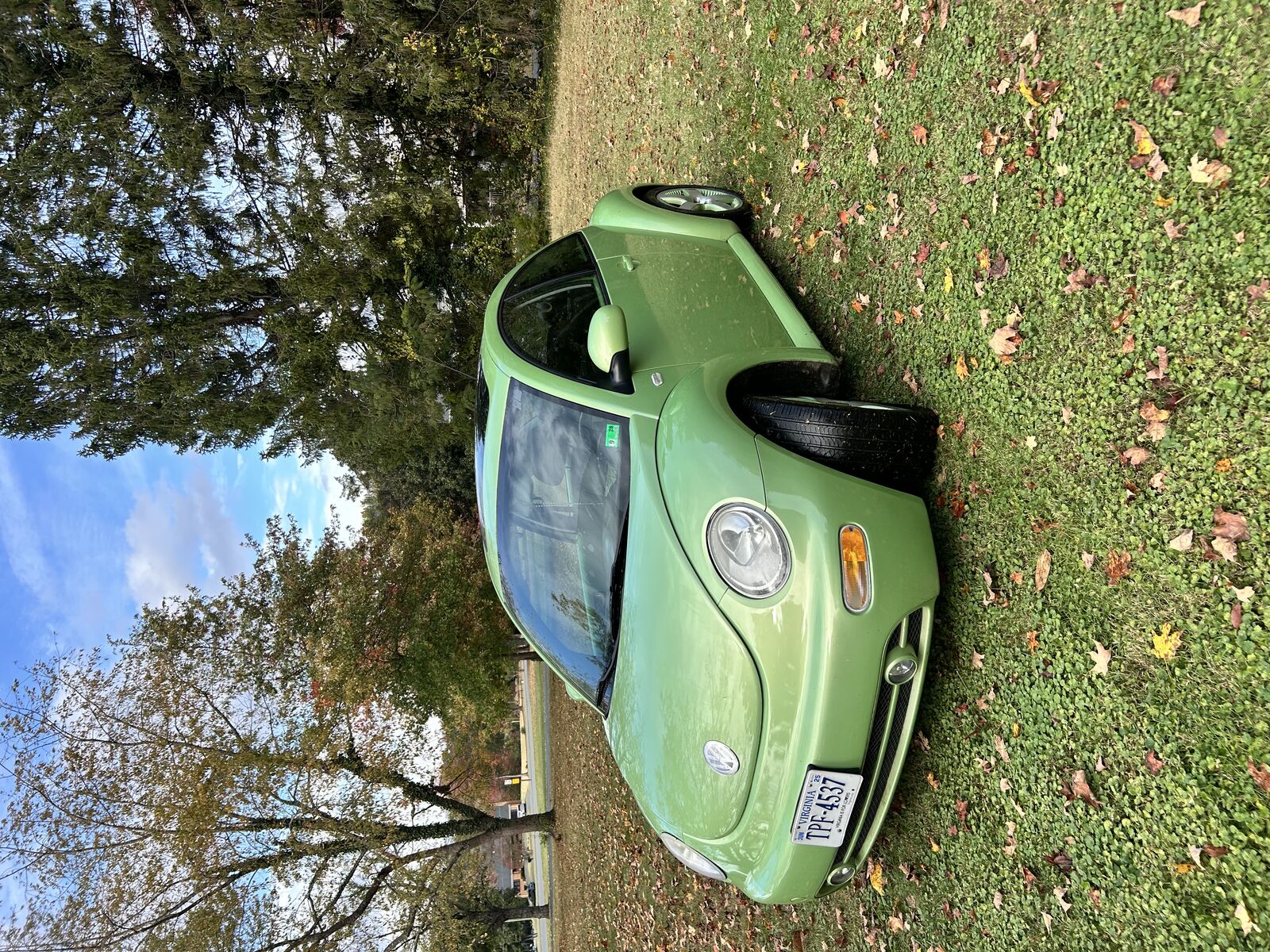 Volkswagen Beetle