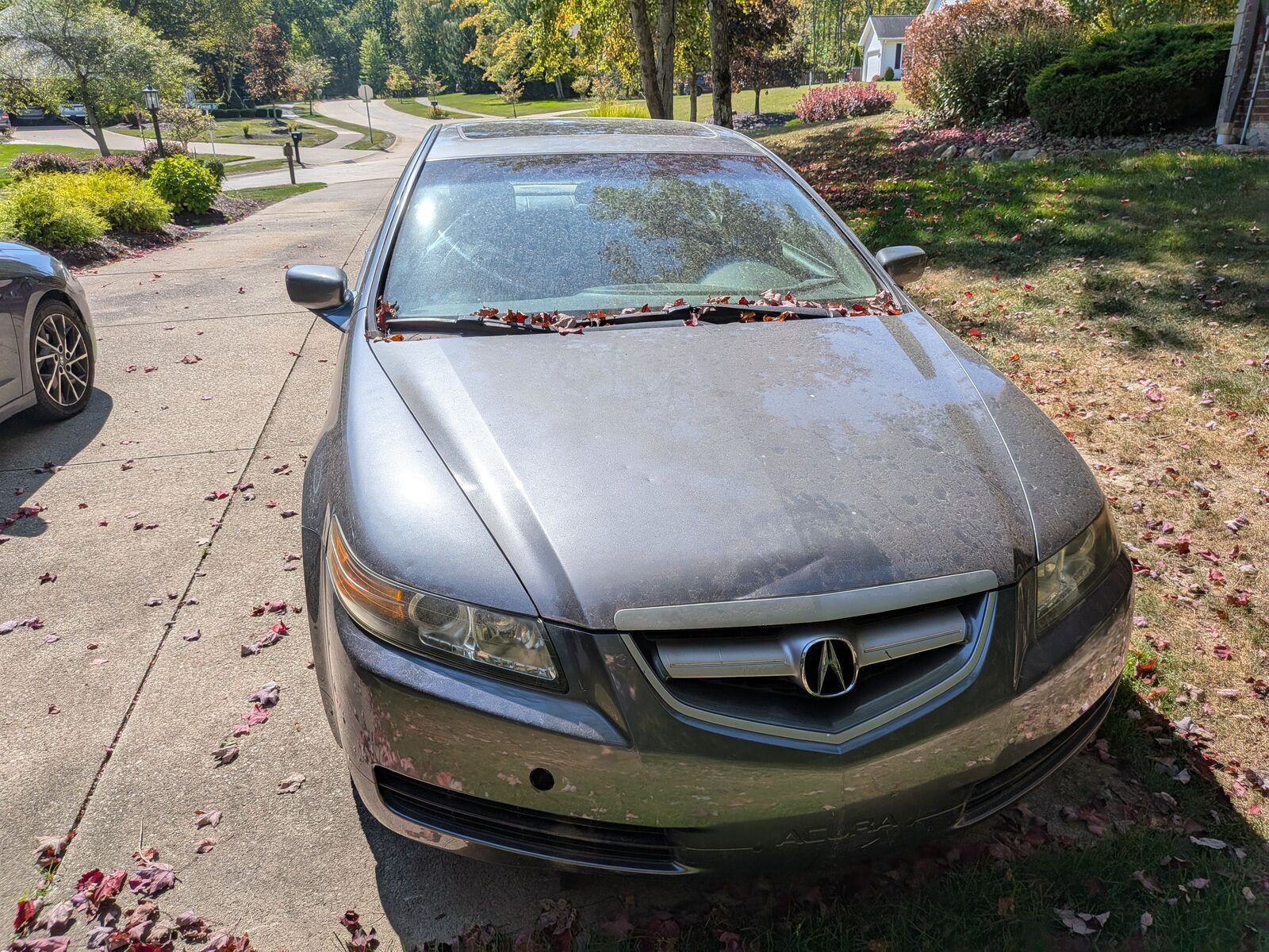 Acura TL