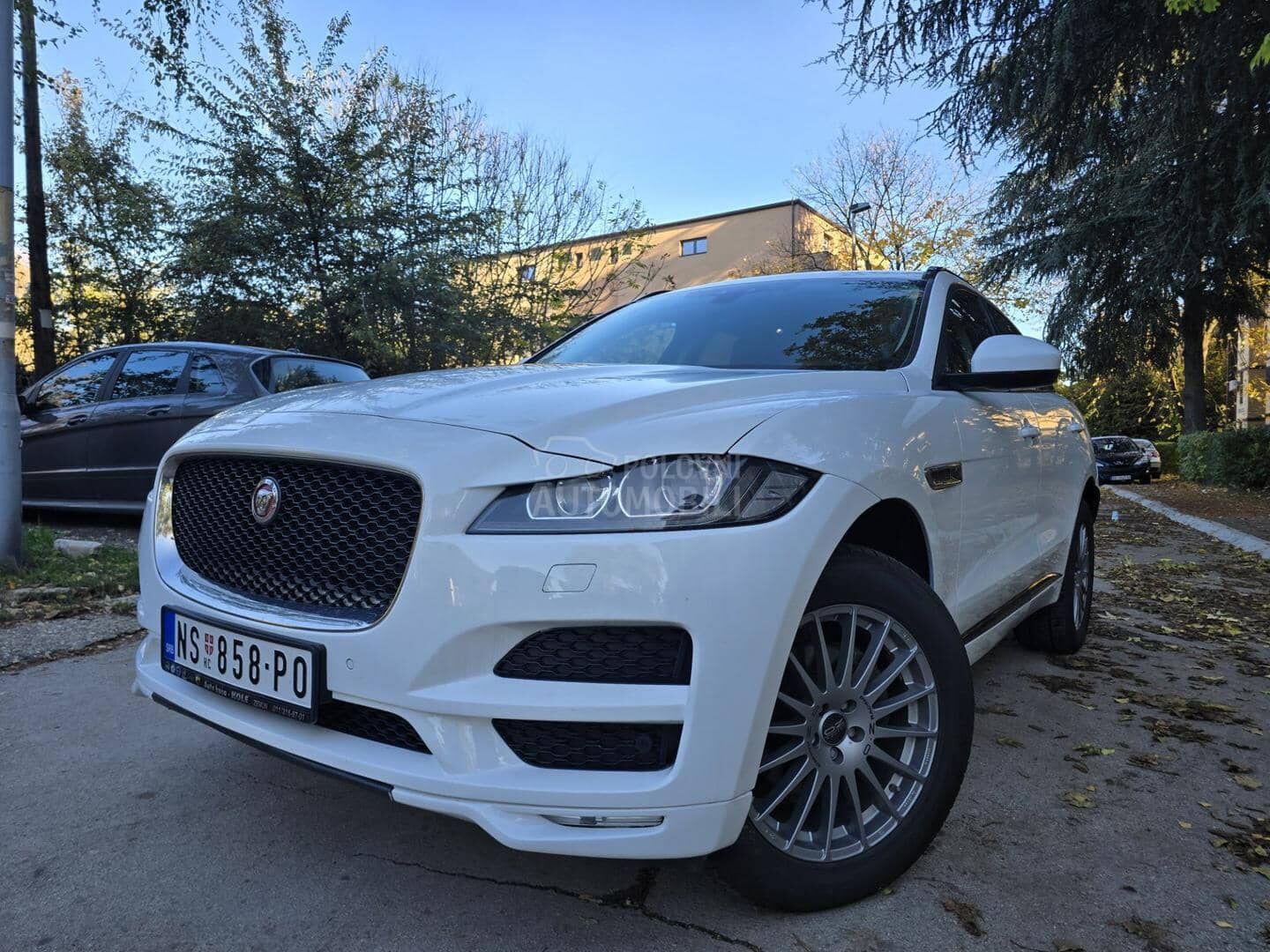 Jaguar F-Pace