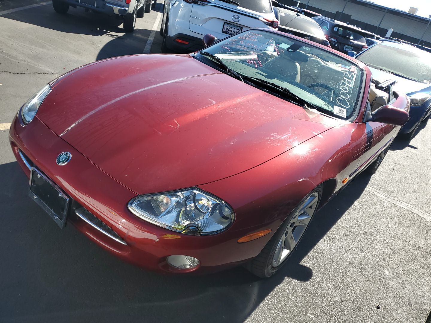 Jaguar XK8