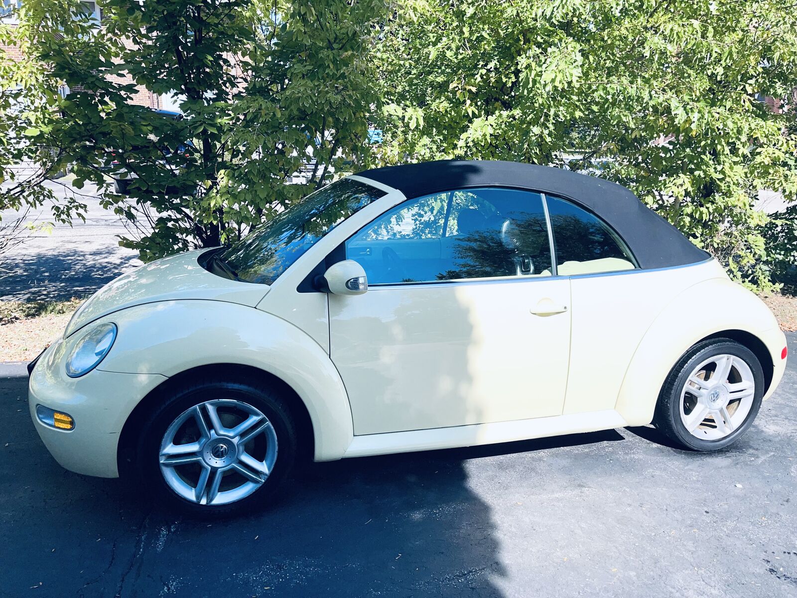Volkswagen Beetle