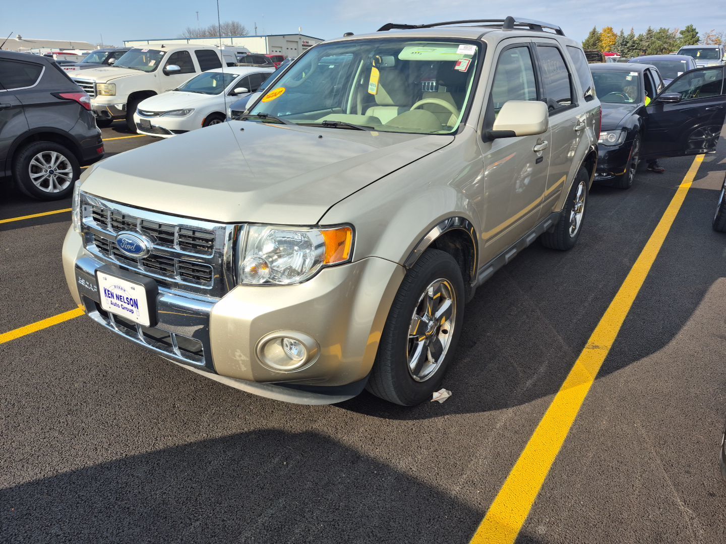 Ford Escape