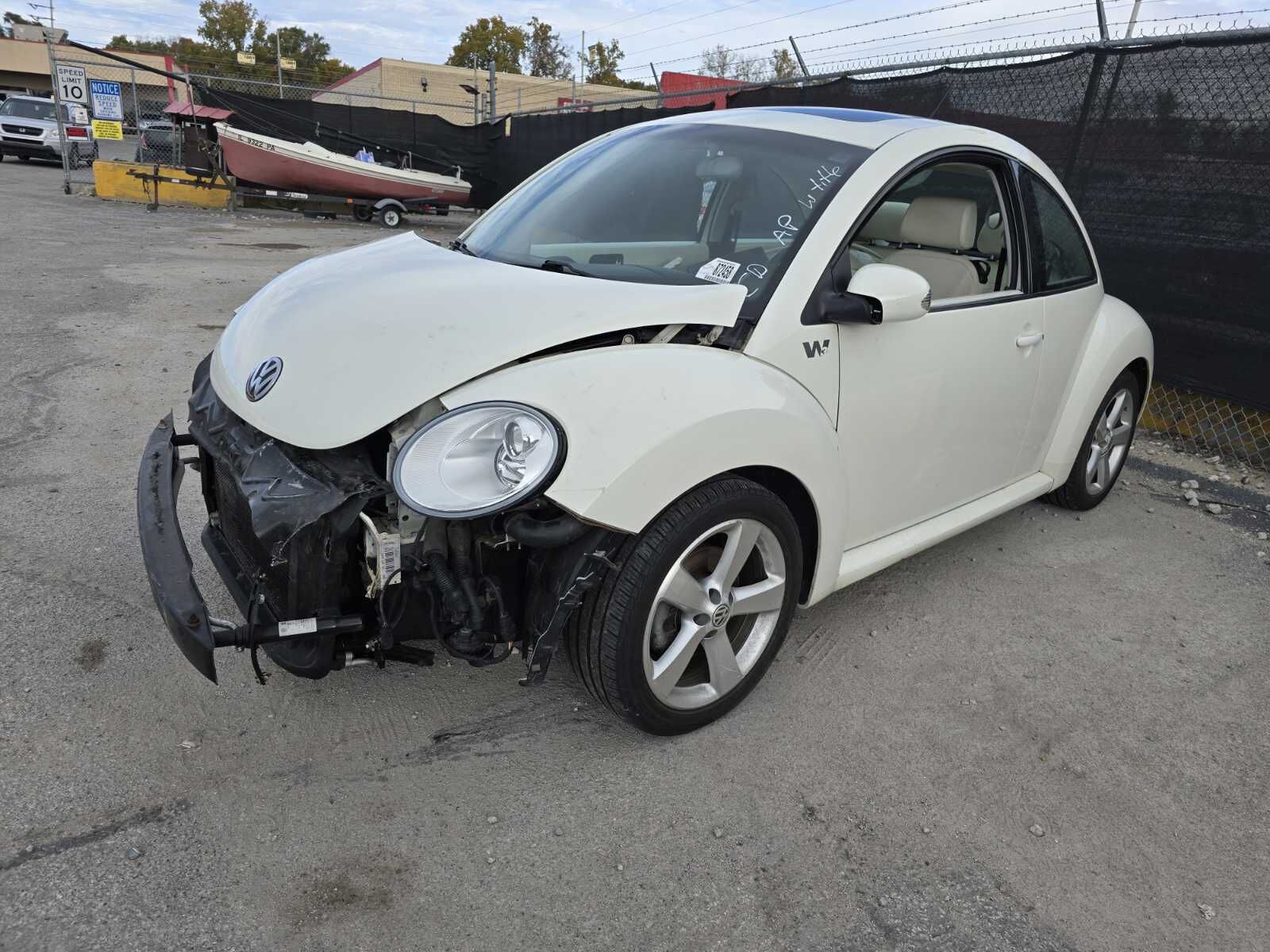 Volkswagen Beetle