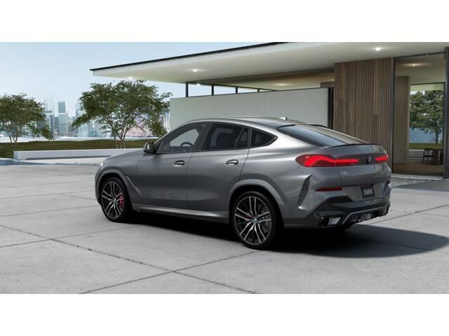 2026 BMW X6