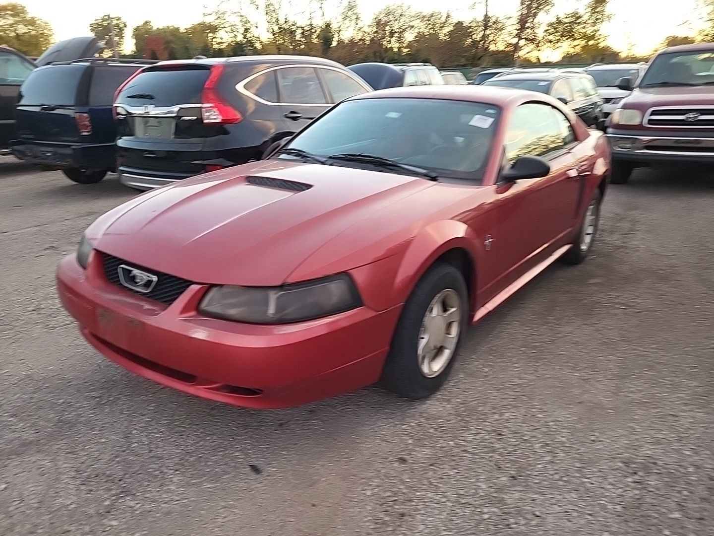 Ford Mustang
