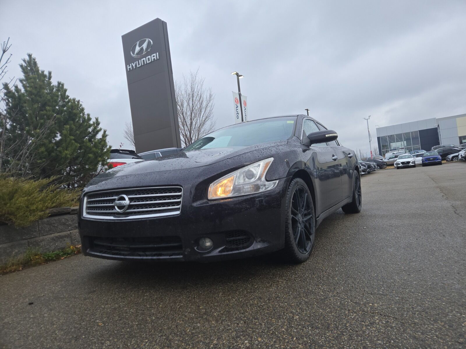 Nissan Maxima
