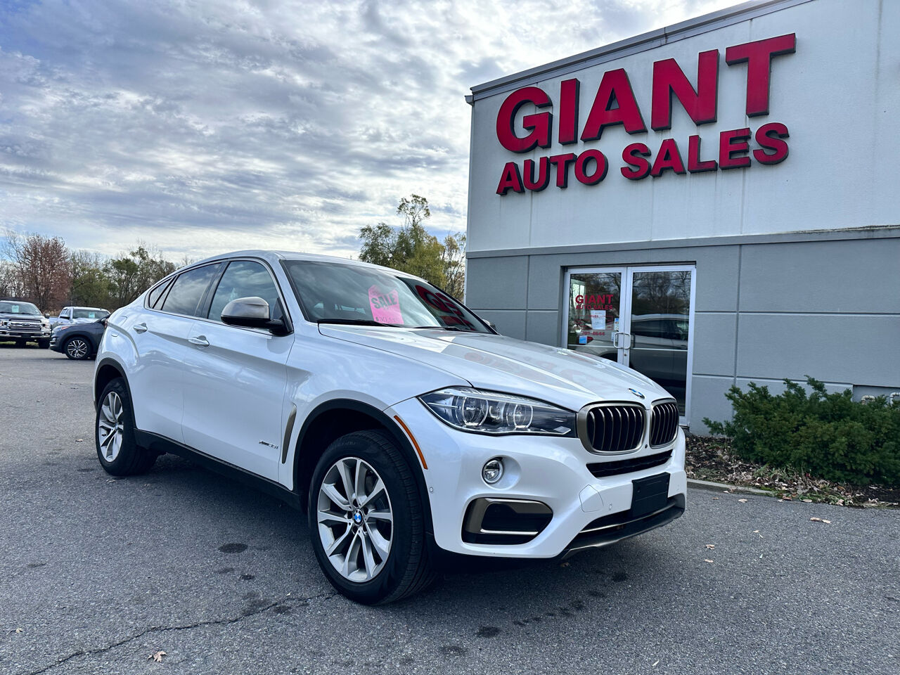 2019 BMW X6