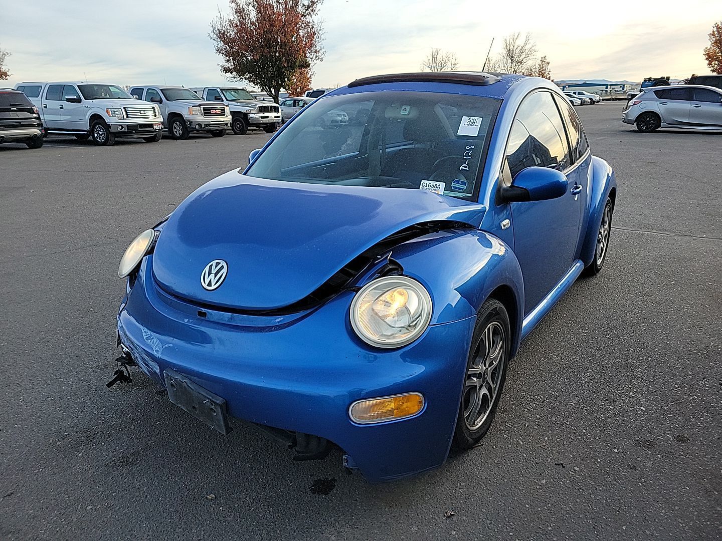 Volkswagen Beetle