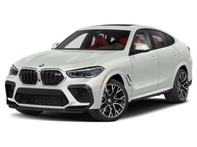 2023 BMW X6