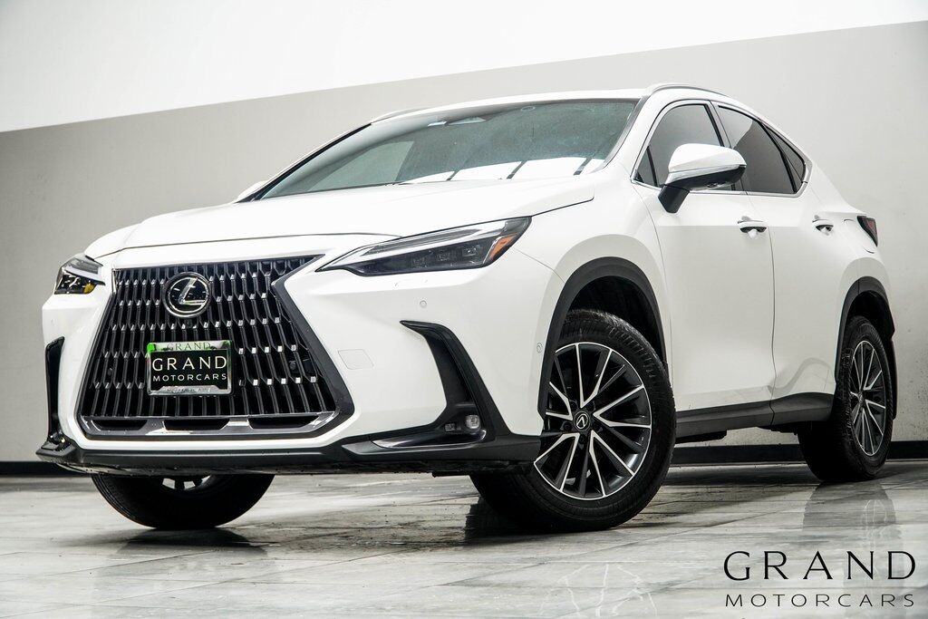 2024 LEXUS NX