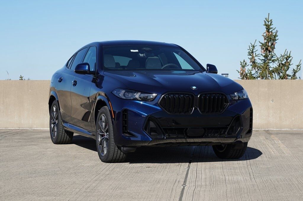 2026 BMW X6
