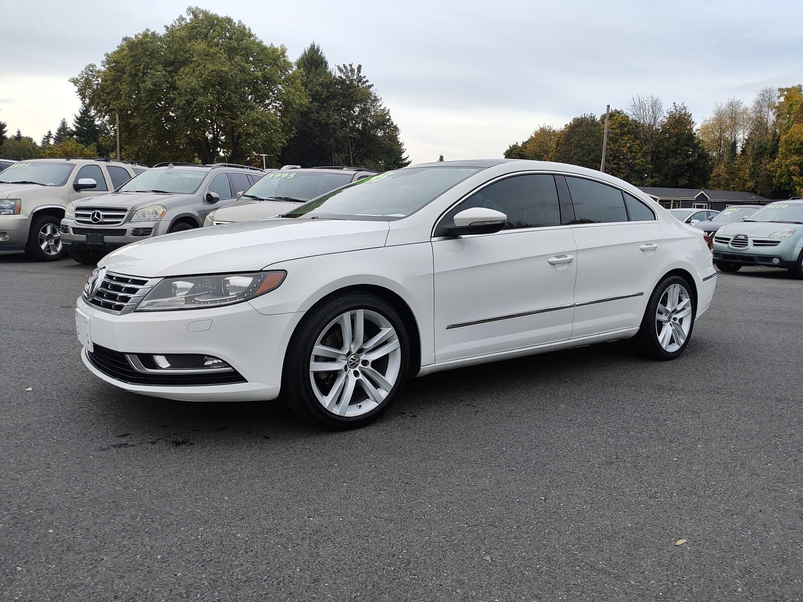 2013 VOLKSWAGEN Passat