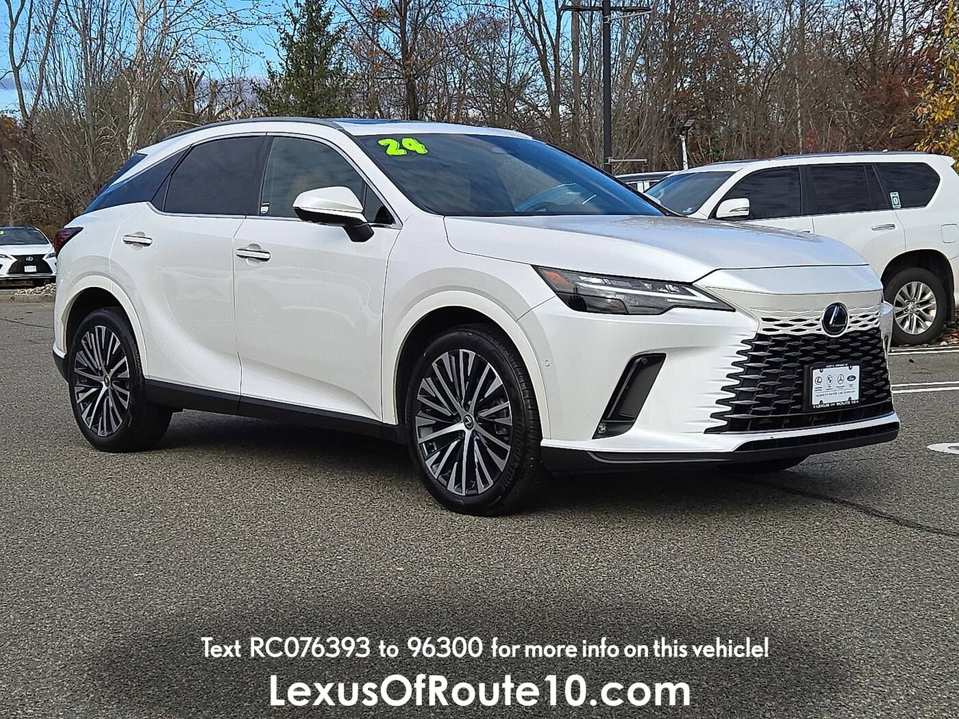 2024 LEXUS RX