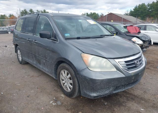 2010 HONDA Odyssey