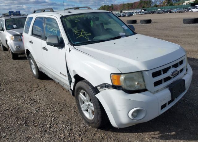 2009 FORD Escape