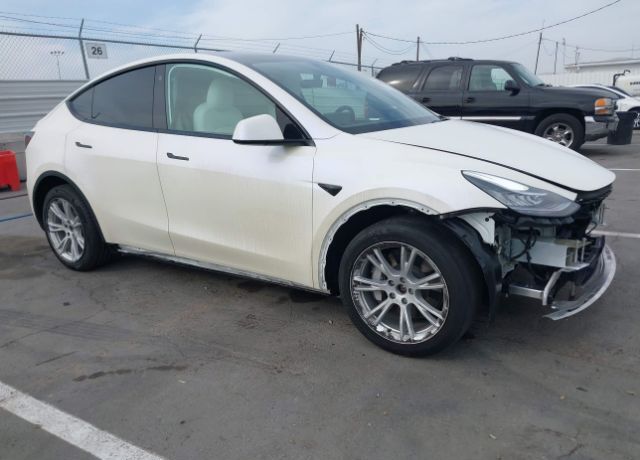 2021 TESLA Model Y