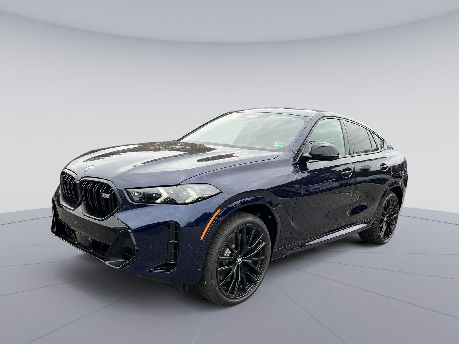 2026 BMW X6