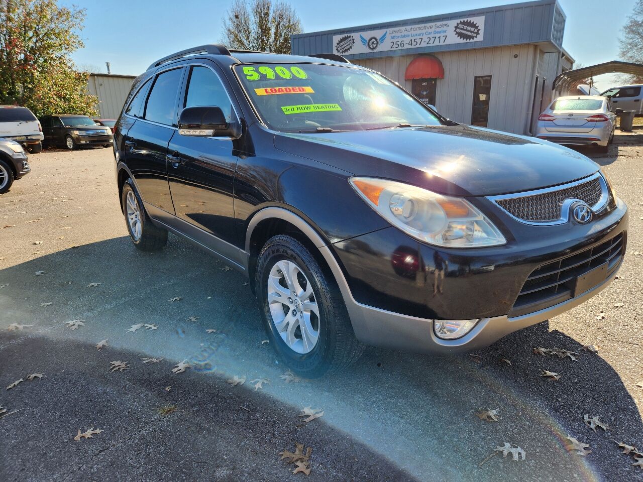 2010 HYUNDAI Veracruz