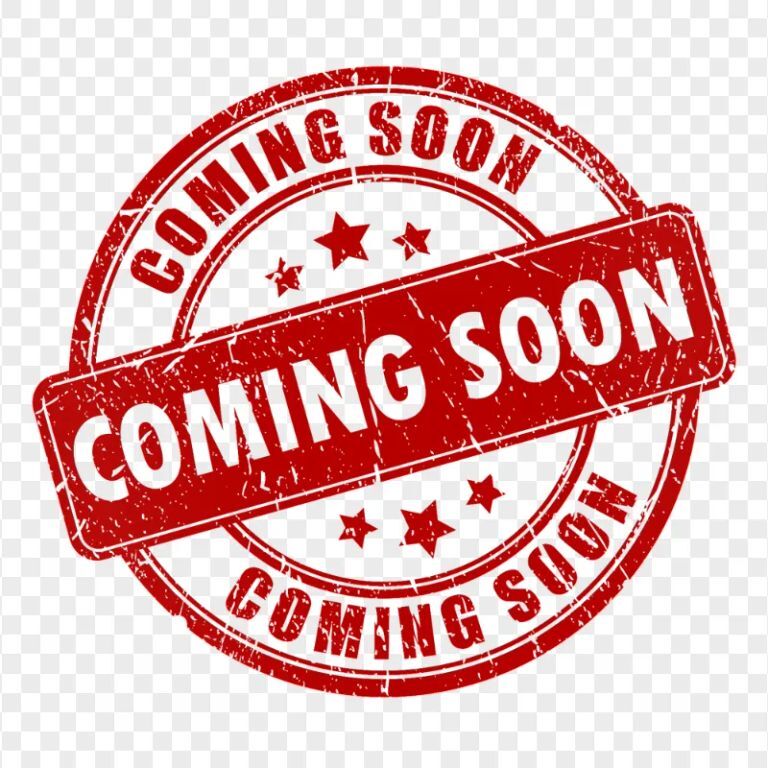 2013 DODGE Challenger