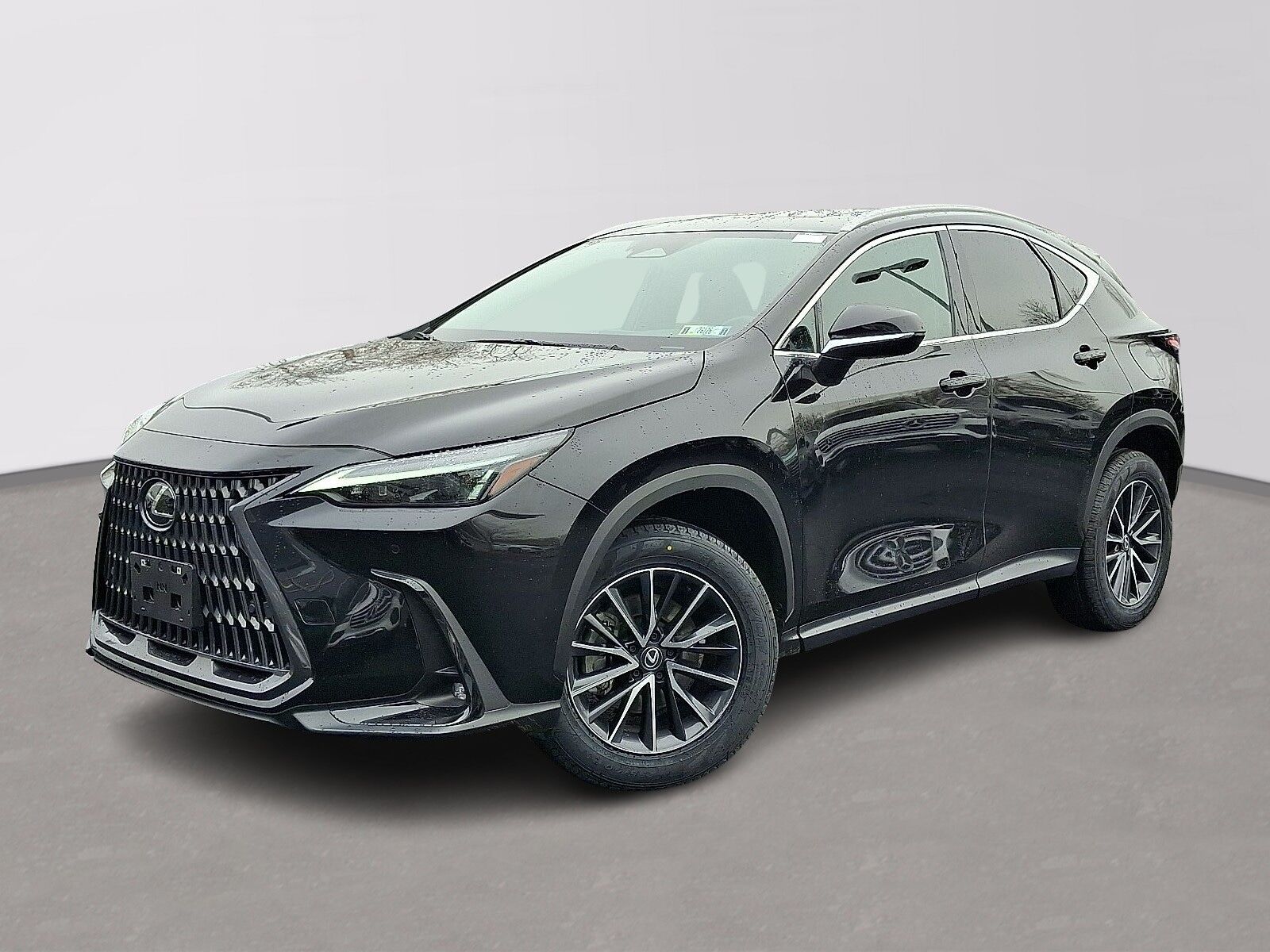 2024 LEXUS NX