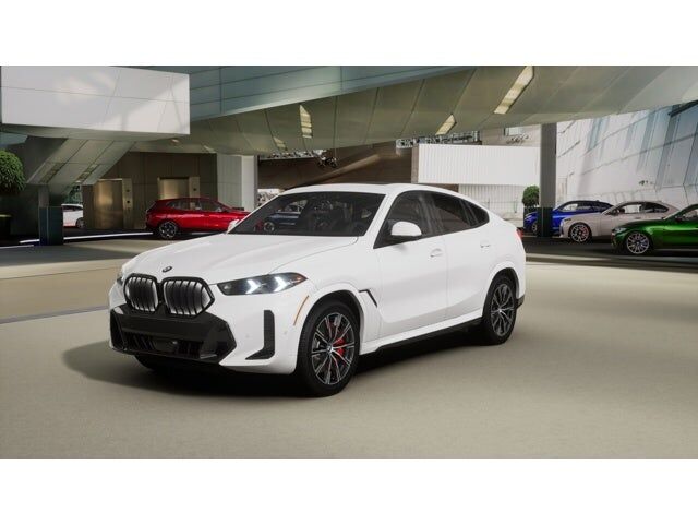 2026 BMW X6
