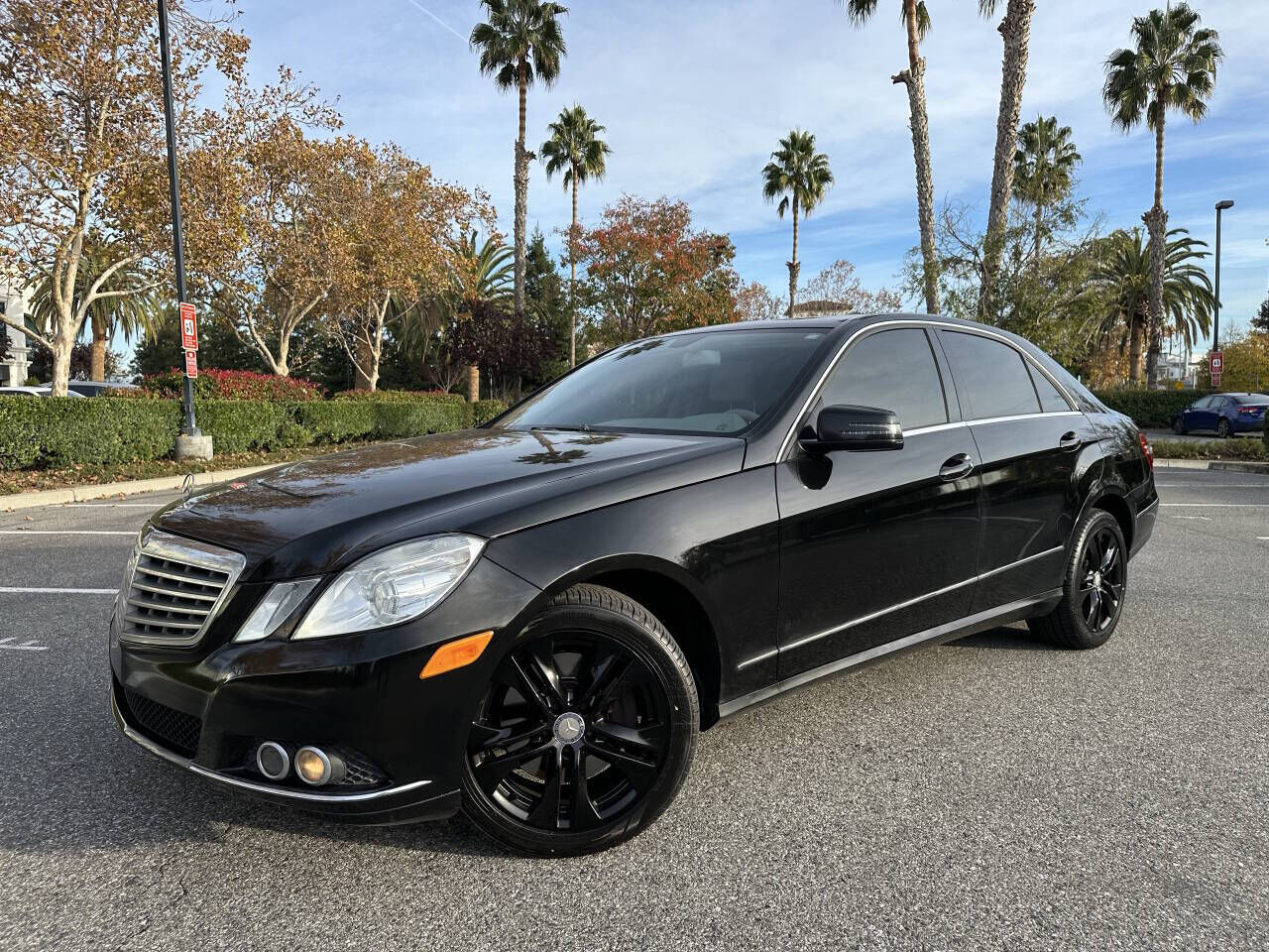 2010 MERCEDES-BENZ E-Class