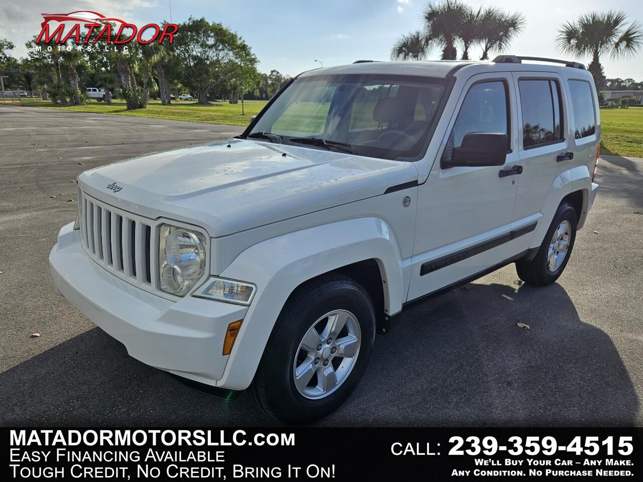 2010 JEEP Liberty