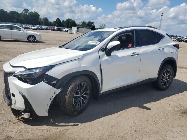 2025 LEXUS NX