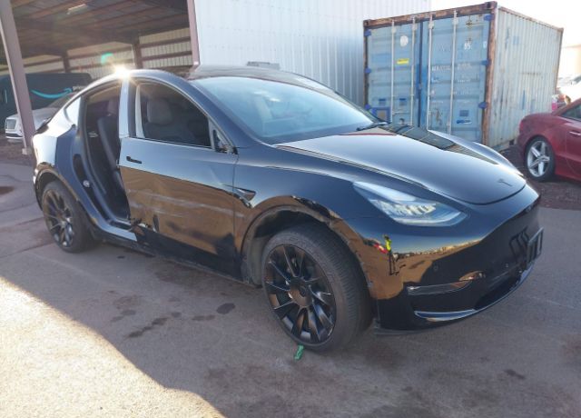2021 TESLA Model Y
