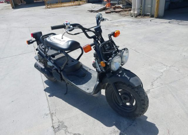 2024 HONDA Ruckus