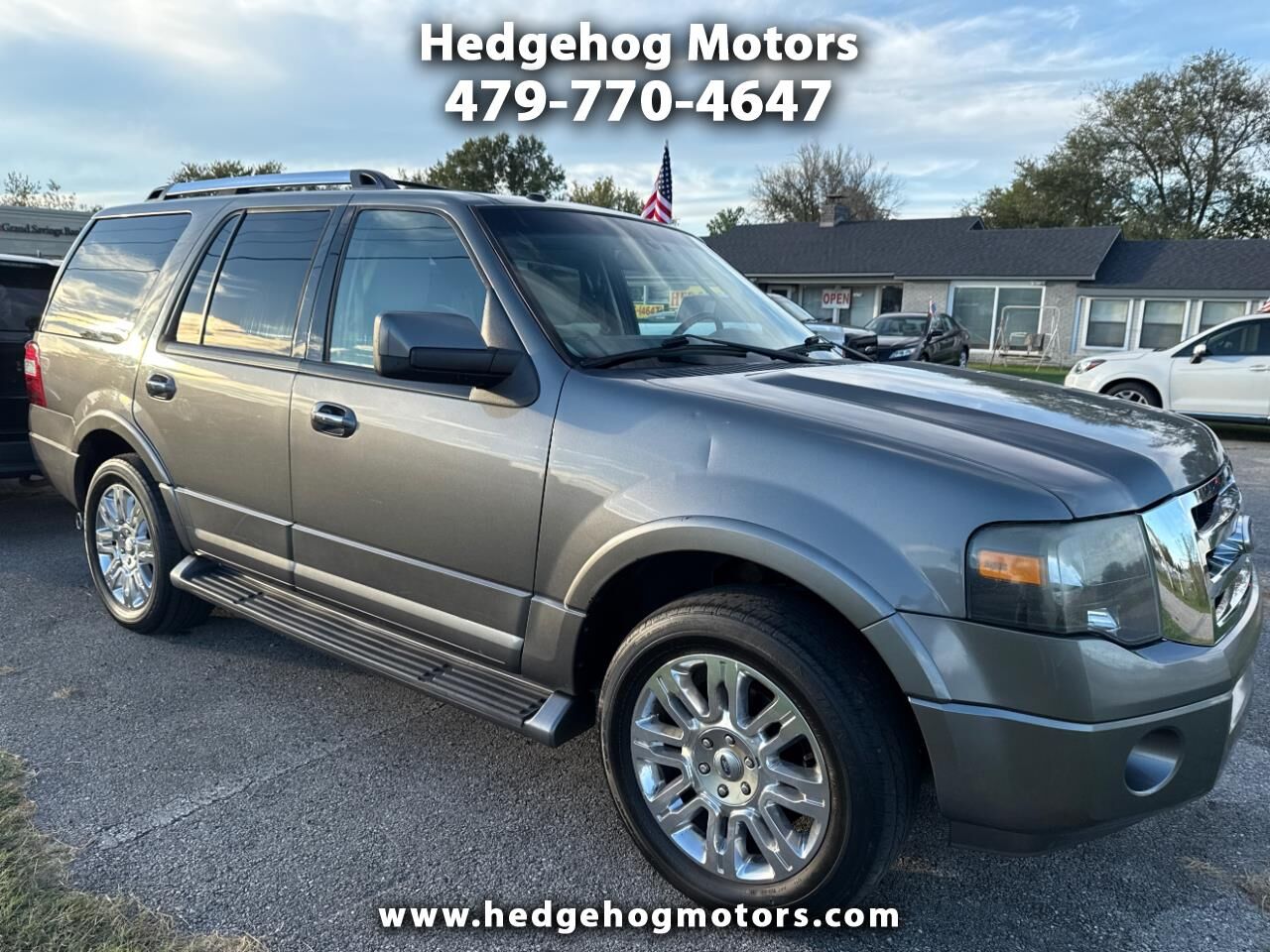 2011 FORD Expedition