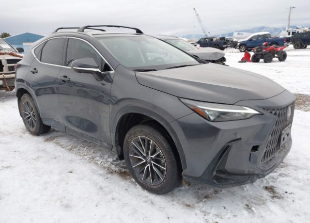 2025 LEXUS NX