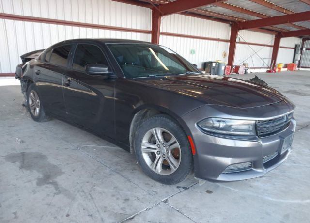2019 DODGE Charger