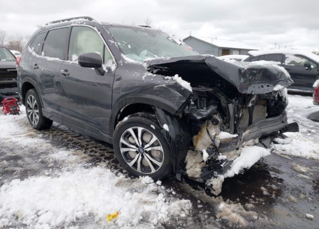 2024 SUBARU Forester