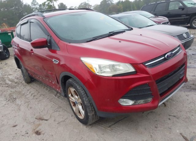 2013 FORD Escape
