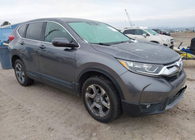 2019 HONDA CR-V