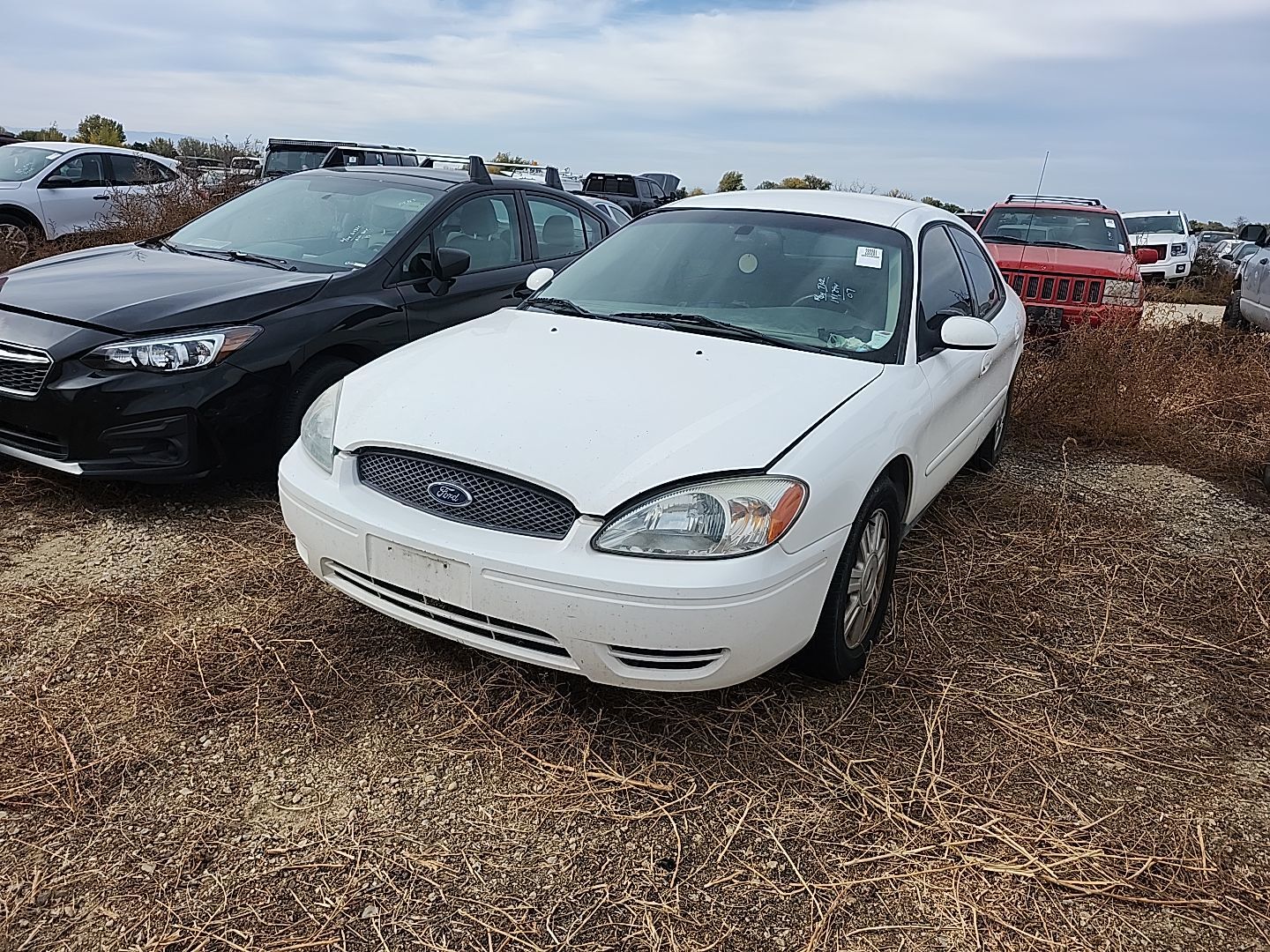 Ford Taurus
