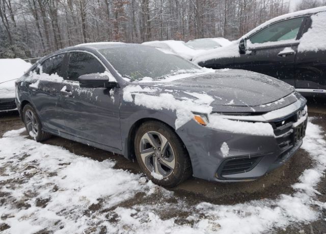 2019 HONDA Insight