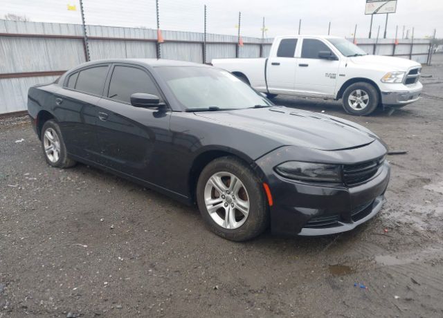 2019 DODGE Charger