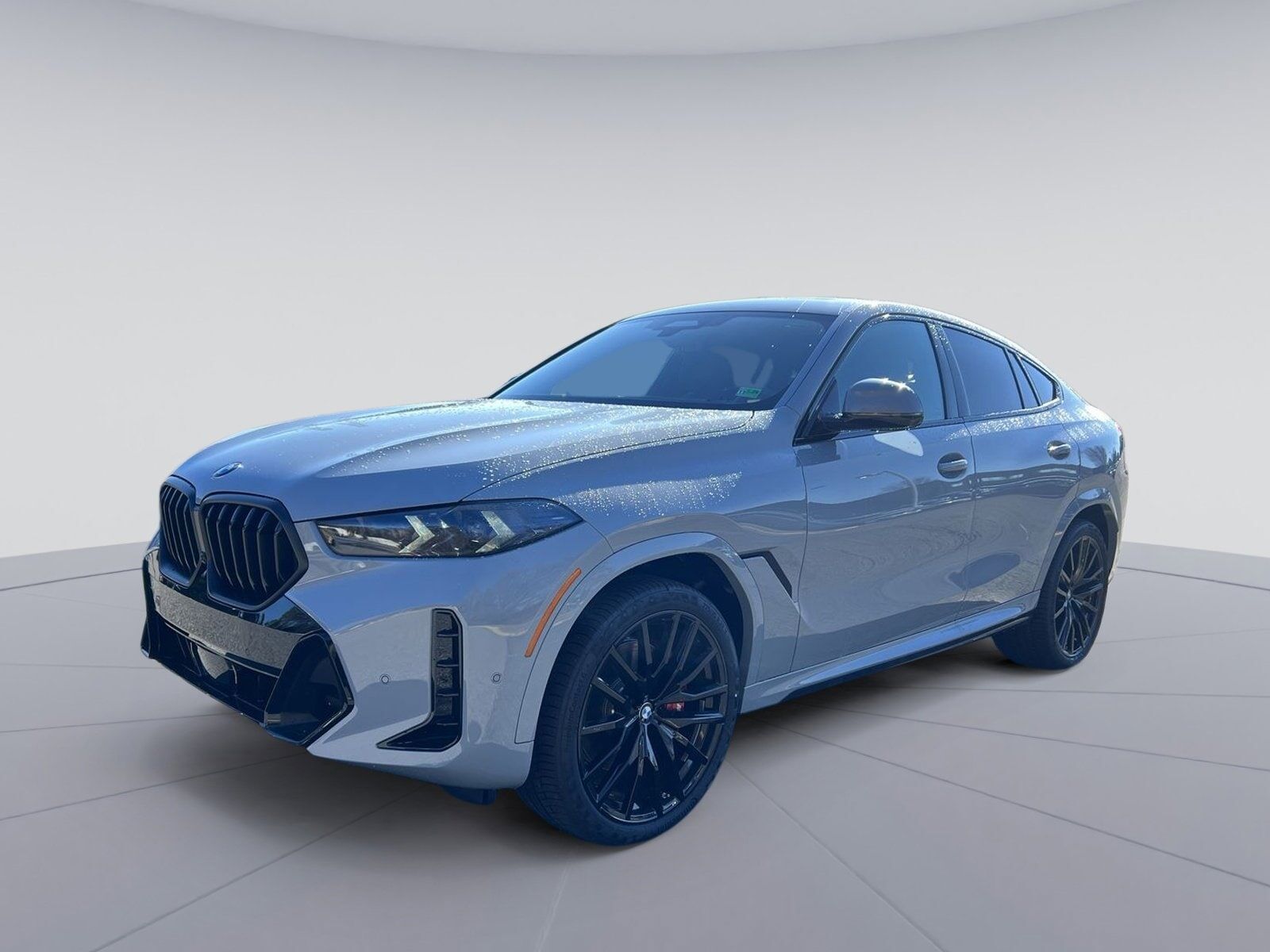 2026 BMW X6