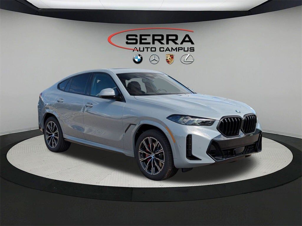 2026 BMW X6
