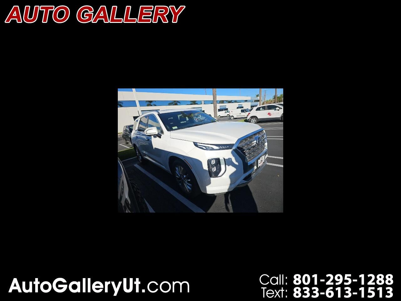 2020 HYUNDAI Palisade